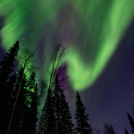 Riverside Log Cabin On-Site Aurora Viewing! North Pole Екстер'єр фото