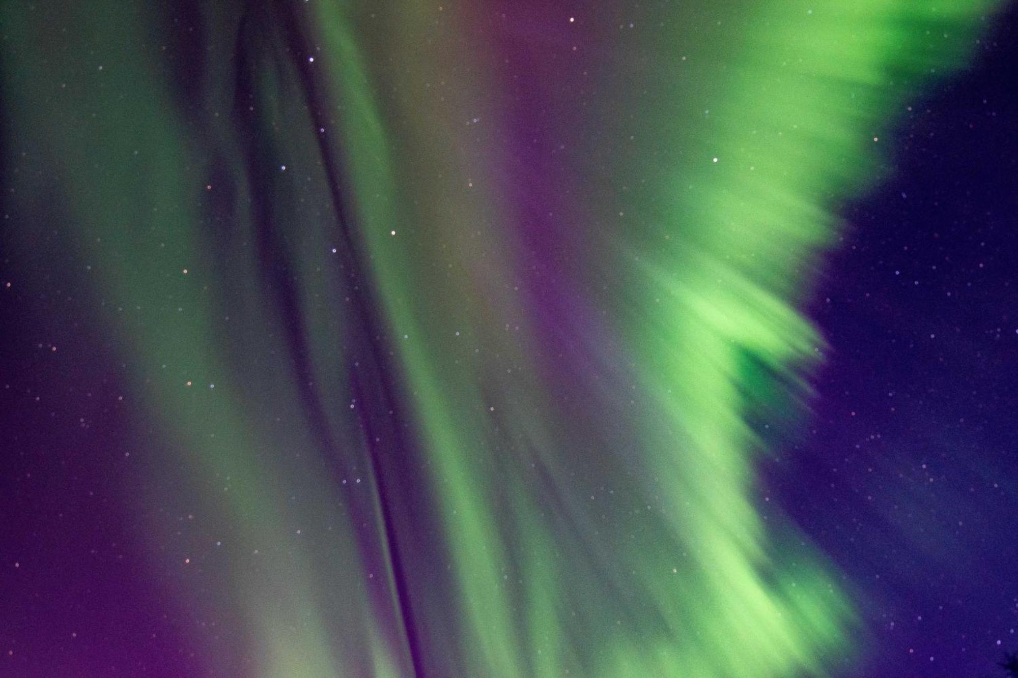 Riverside Log Cabin On-Site Aurora Viewing! North Pole Екстер'єр фото